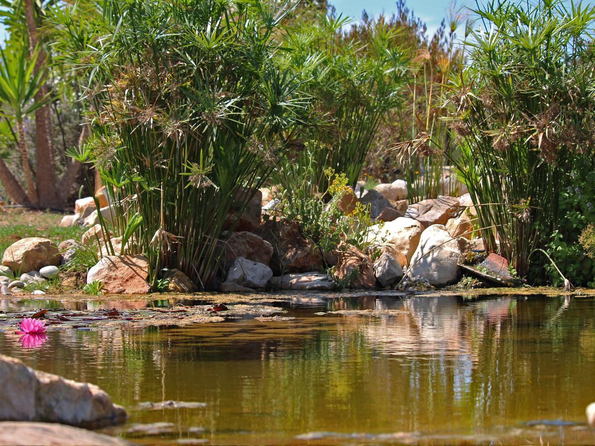 Casa Do Vale Da Lama Ecohotel & Retreat Centre In A Farm Odiaxere Luaran gambar